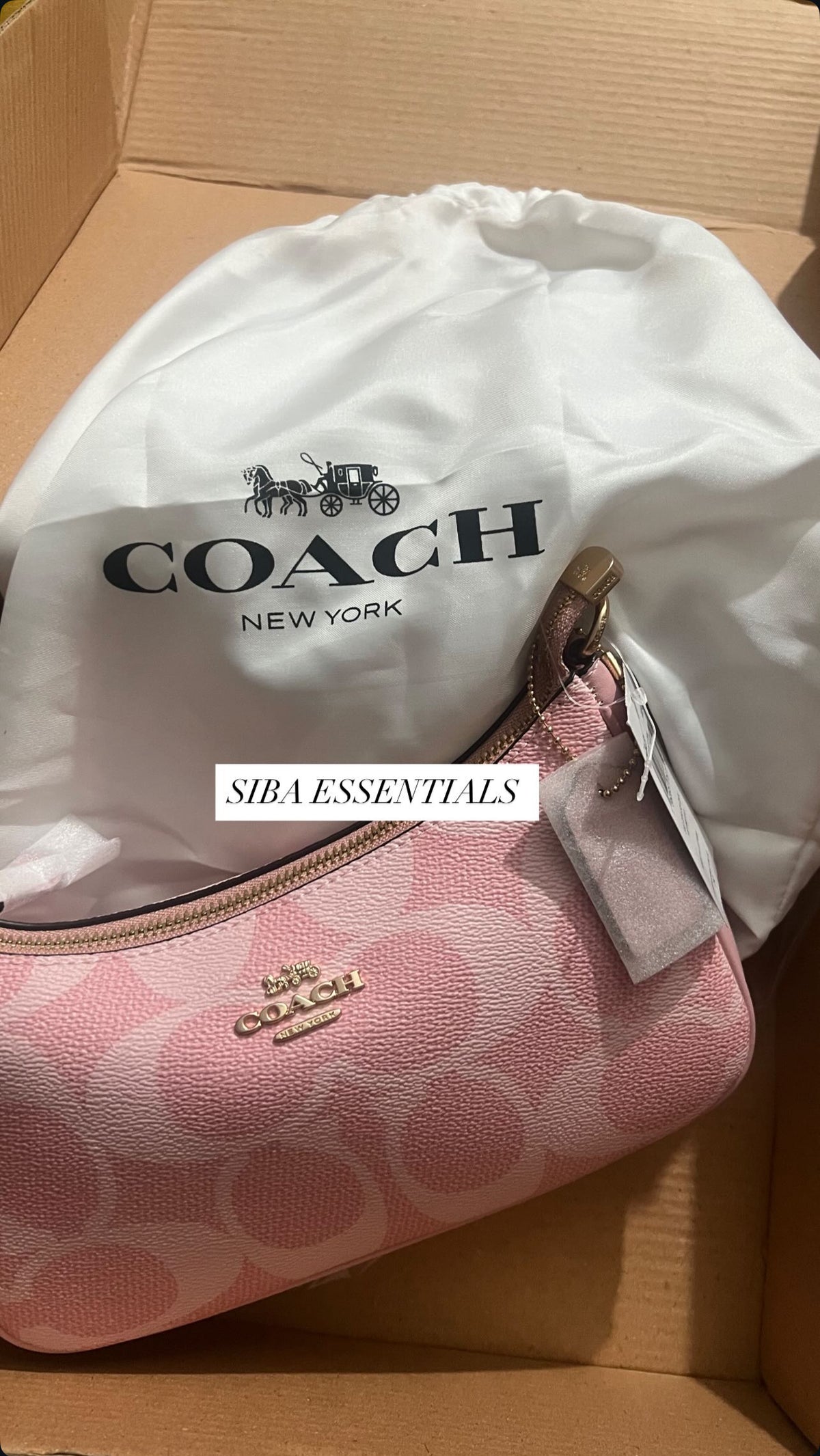 Coach teri bag