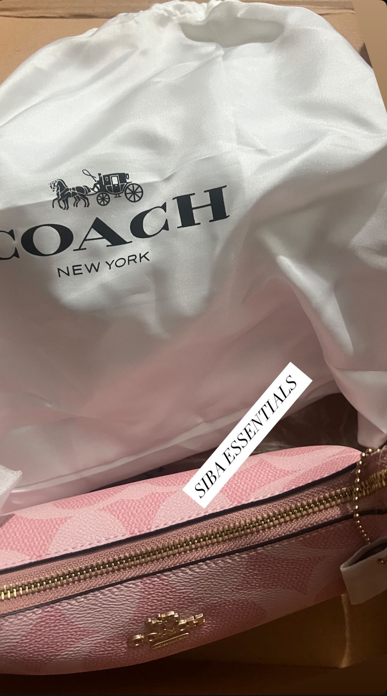 Coach teri bag