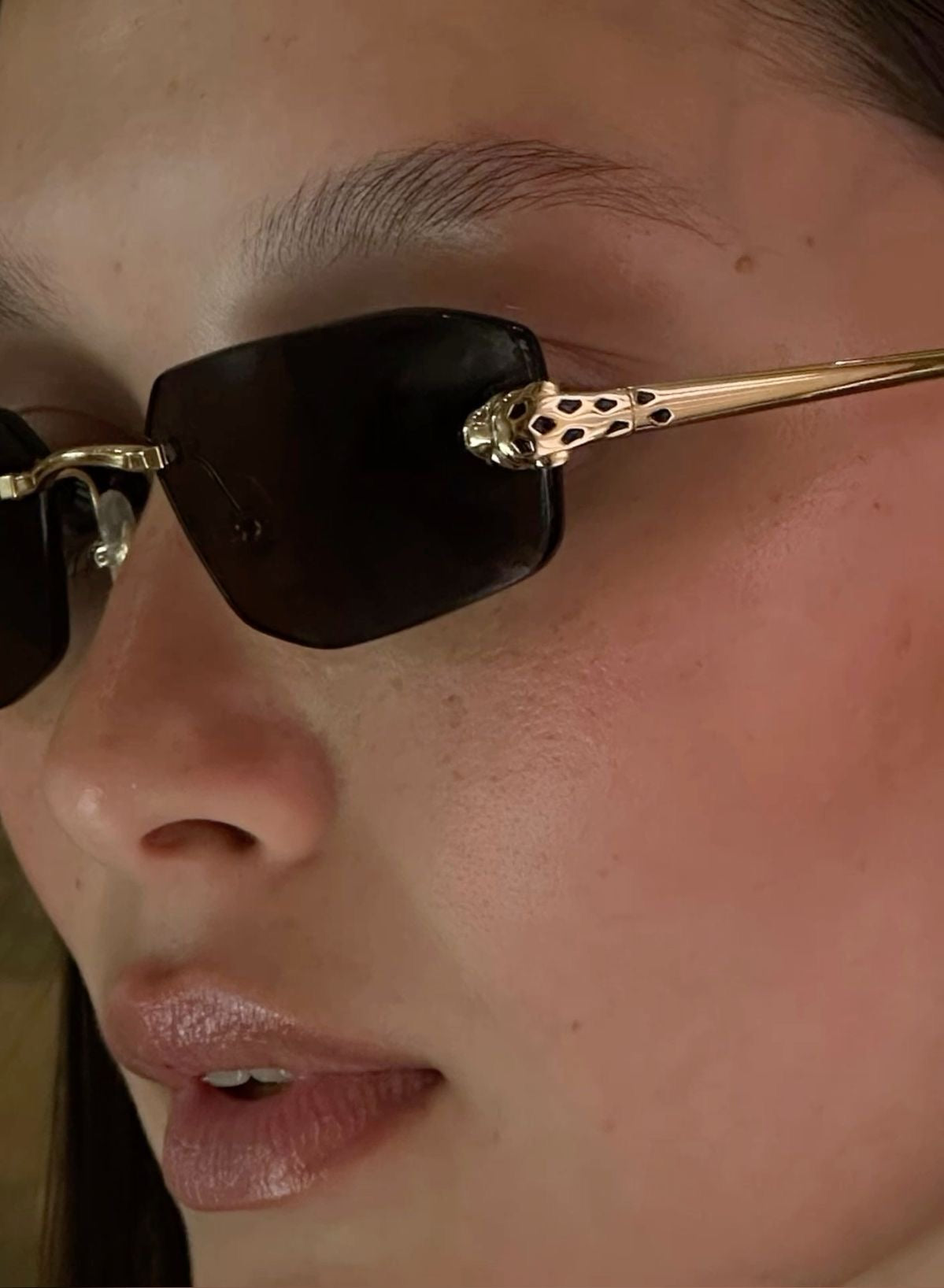 Cartier unisex  sunglasses (black )