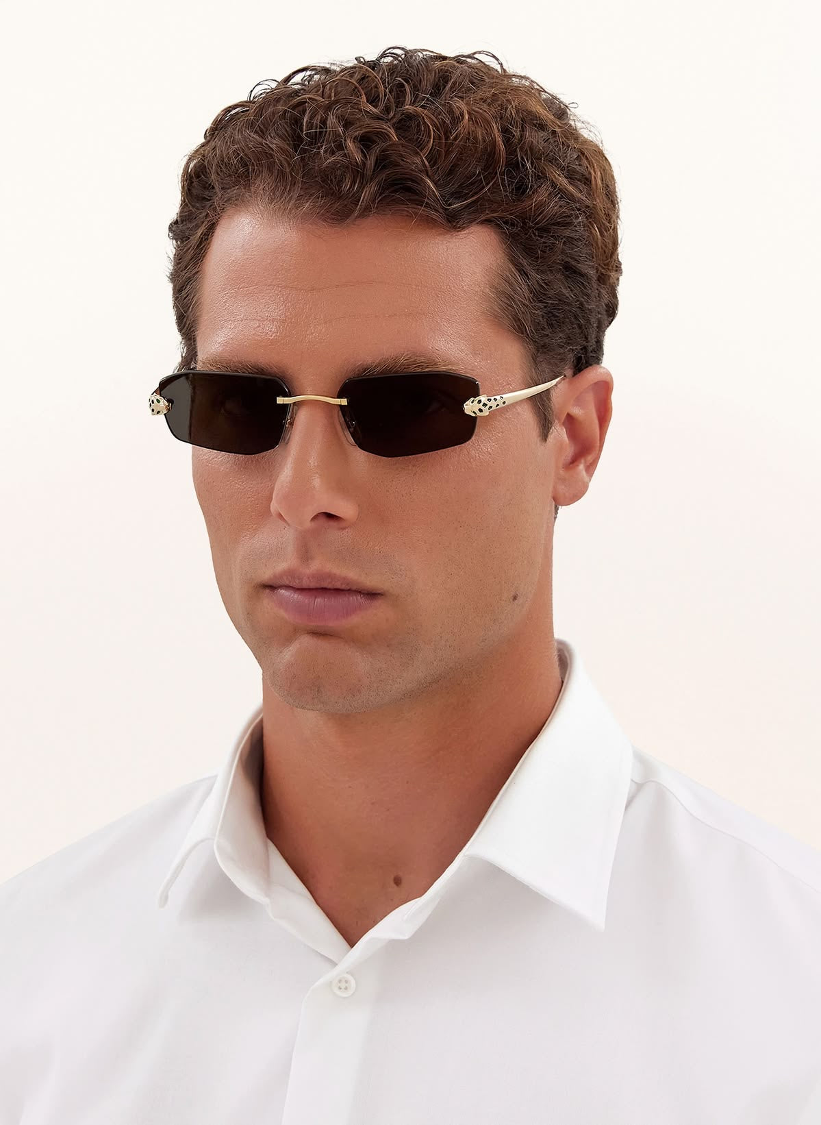 Cartier unisex  sunglasses (black )