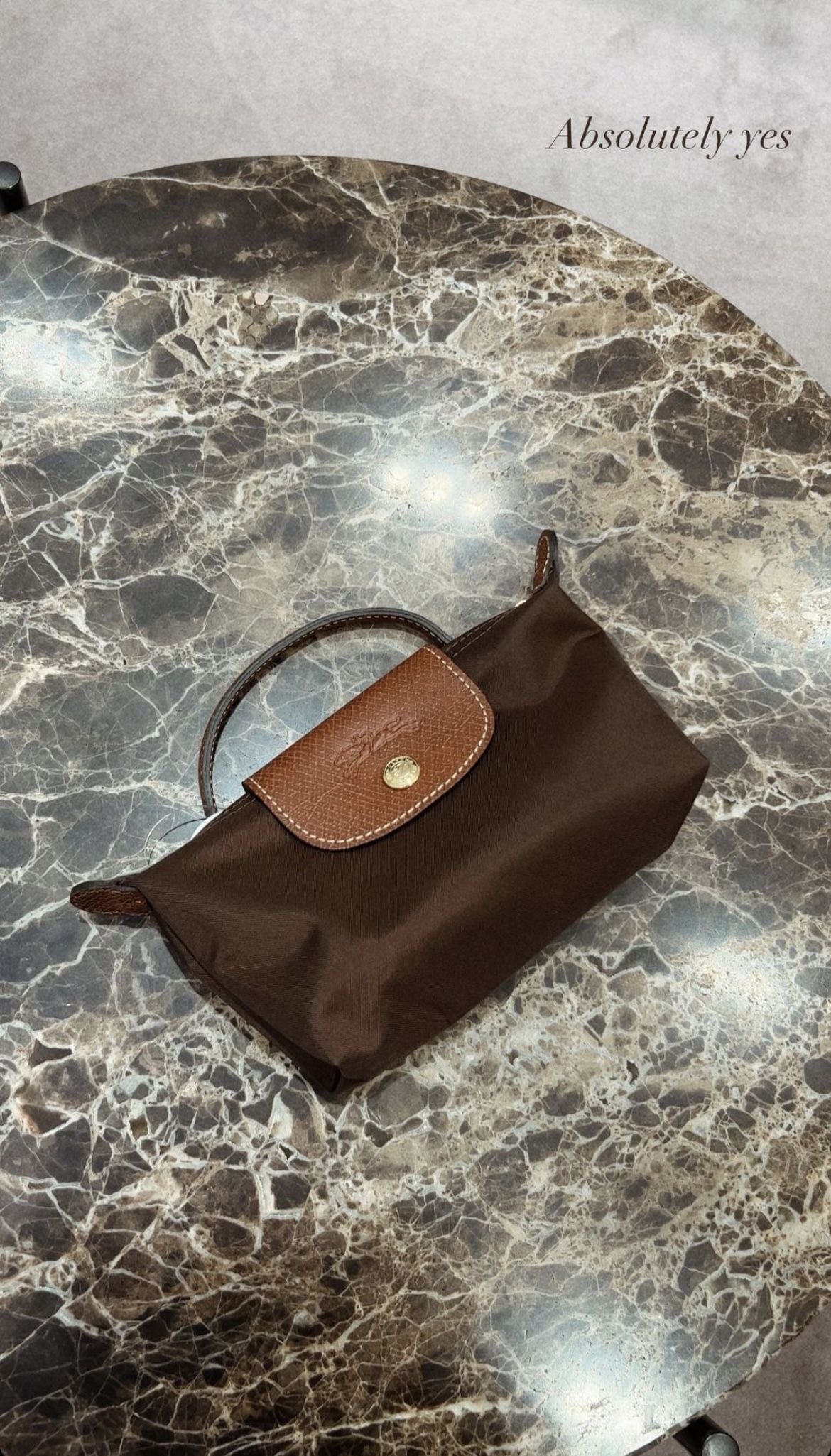 brown mini long champ bag