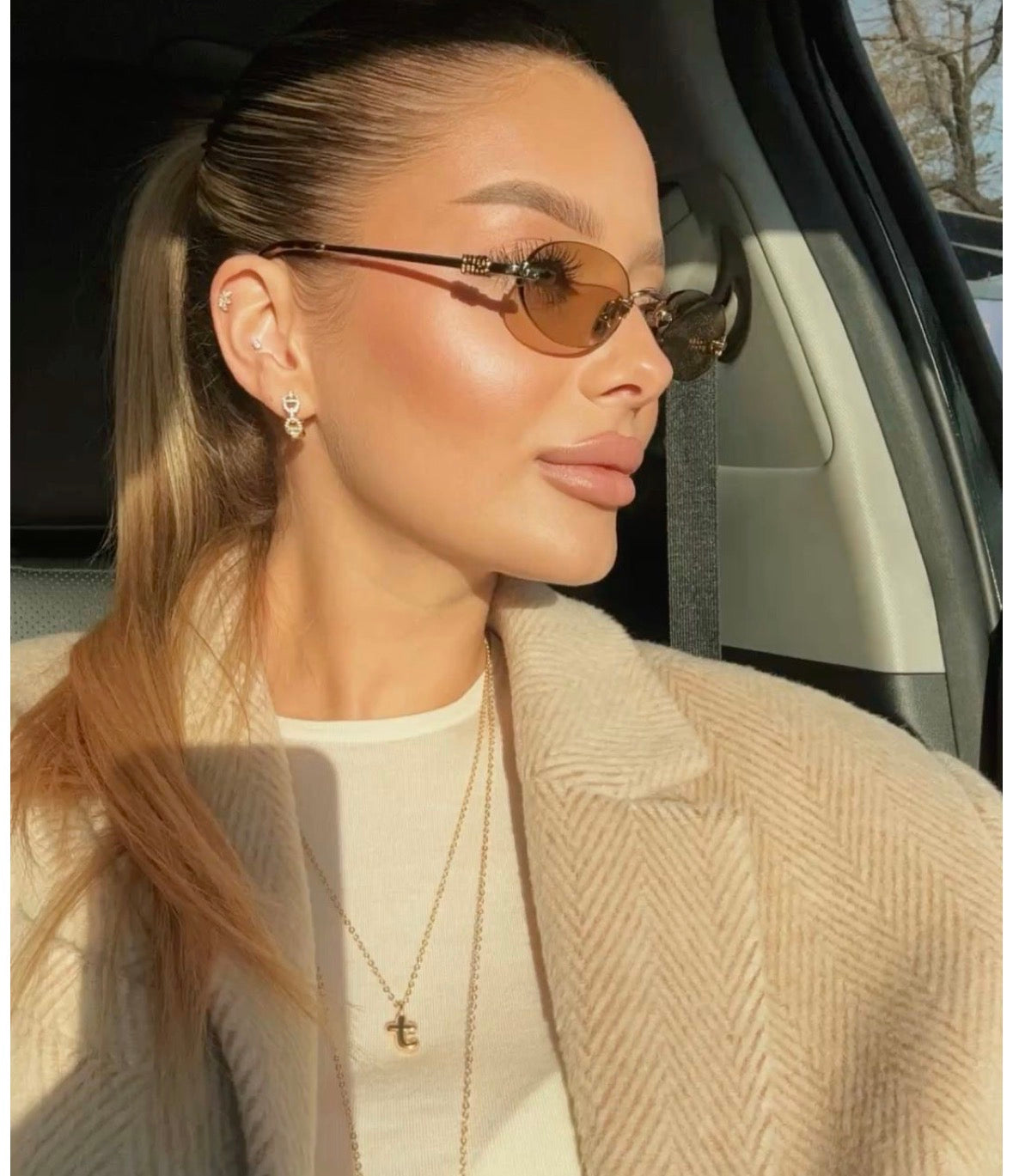 Miu Miu sunglasses (brown )